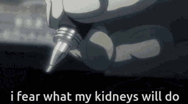 Death Note Light Yagami GIF - Death Note Light Yagami I Fear My Kidneys GIFs