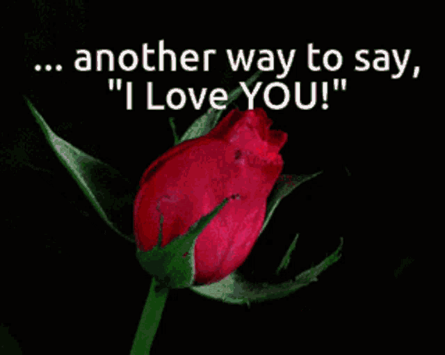 Another Way To Say I Love You GIF - Another Way To Say I Love You GIFs
