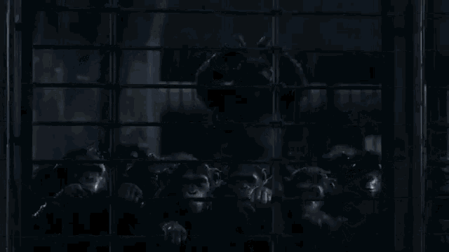 a group of monkeys in a cage looking out of a window