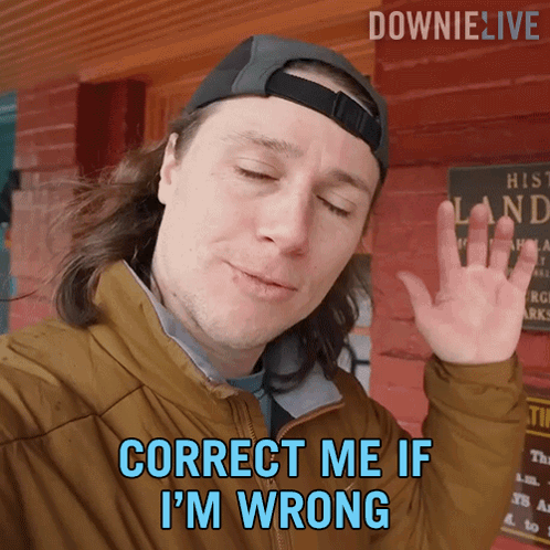 Correct Me If Im Wrong Michael Downie GIF - Correct Me If Im Wrong Michael Downie Downielive GIFs