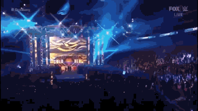 a crowd of people watching a wrestling match on fox