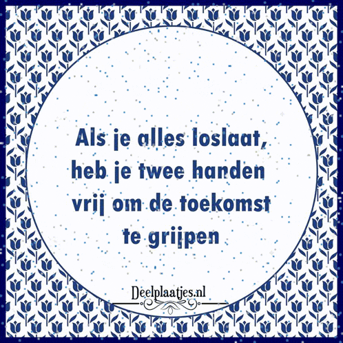 a blue and white poster with a quote from deelplaatjes.nl on it