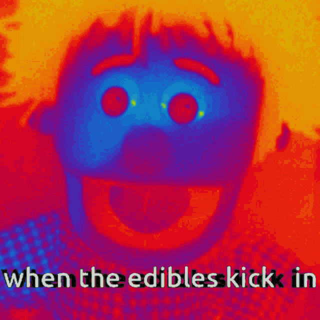 When The Edibles Kick In Edibles GIF - When The Edibles Kick In Edibles High GIFs