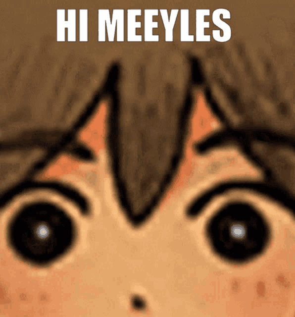 a close up of a person 's face with the words hi meeyles on the bottom