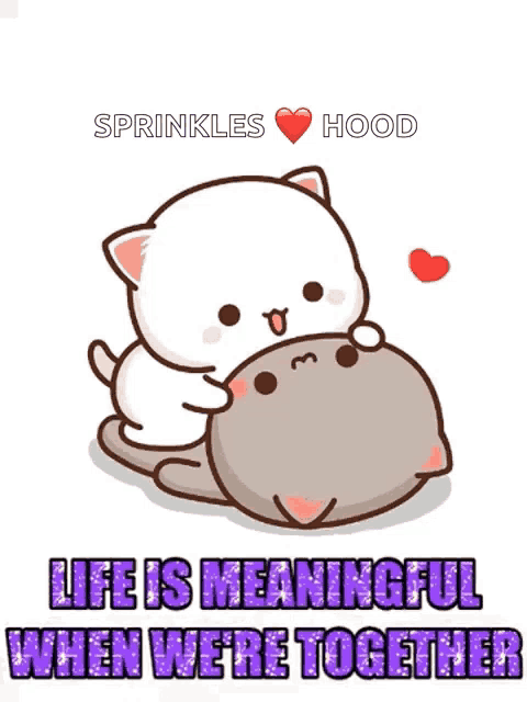a cartoon of a cat hugging another cat with the words life is meaningful when we 're together below it