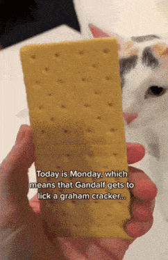 a person is holding a graham cracker in their hand