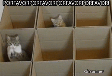 Porfavorporfavorporfavorporfavor! GIF - Cats Box GIFs