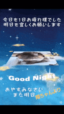 a picture of a cat on a blue background with the words good night