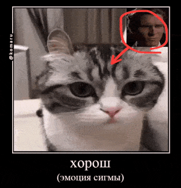 a cat with a red arrow pointing to it 's head and a picture of a man with a red circle around his head