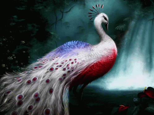 Peacock Bird GIF - Peacock Bird Magical GIFs