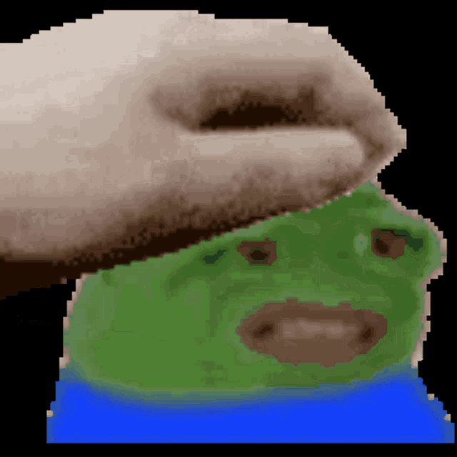 a pixel art of a frog with a blue shirt