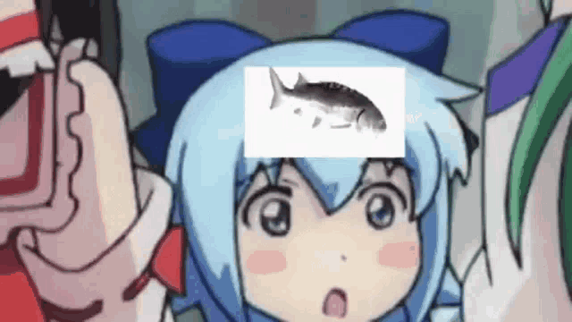 a girl with blue hair and a fish on her head is looking at the camera .