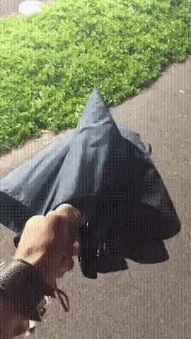 a person is holding an umbrella on a sidewalk
