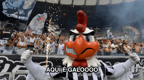 a rooster mascot stands in front of a crowd with the words aqui e galooo above him