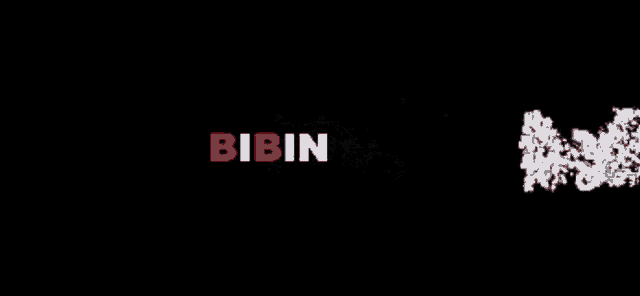 a black background with red white and black smoke and the word bibi