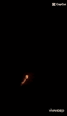 a dragon is surrounded by flames on a black background ..