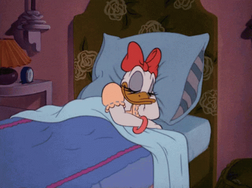 Sleep Bed GIF - Sleep Bed Daisy GIFs