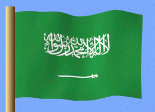 Suudi Arabistan GIF - Suudi Arabistan GIFs