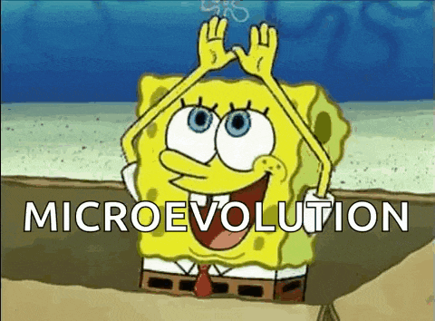 a cartoon of spongebob saying microevolution with his hands in the air .
