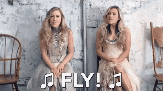 Fly Sing GIF - Fly Sing Music GIFs