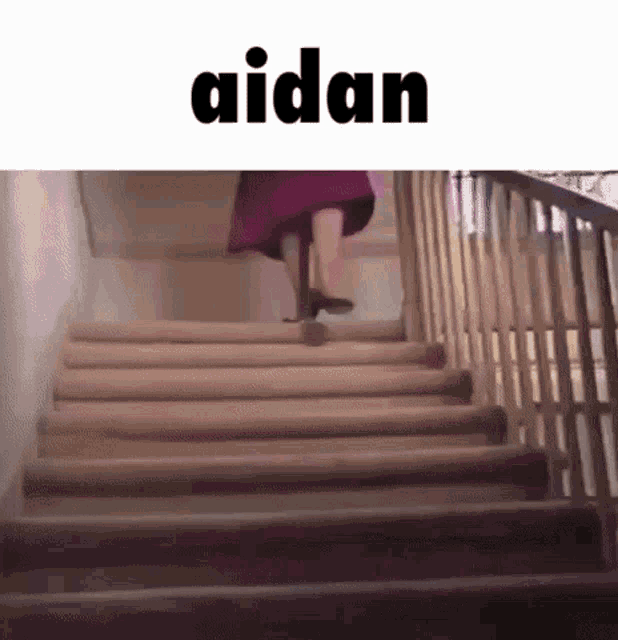a person is walking up a set of stairs with the word aidan above them .