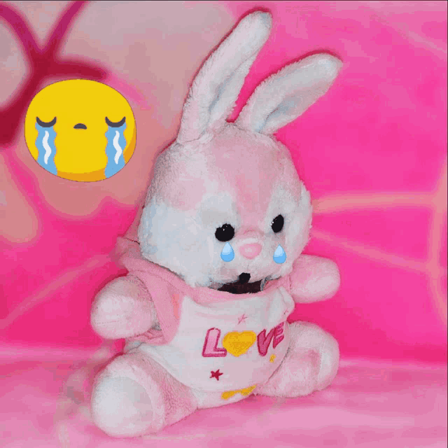 Pink Bunny Cry GIF - Pink Bunny Cry Crying GIFs