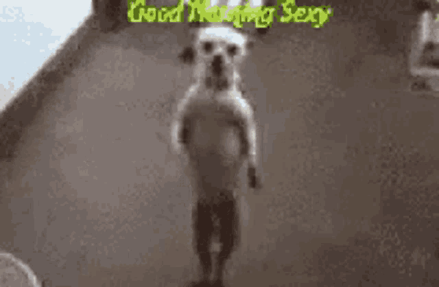 a dog standing on its hind legs with the words good morning sexy written in the background