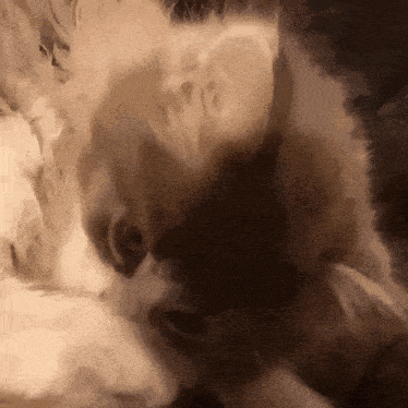 a close up of a cat 's face in a painting with a dark background