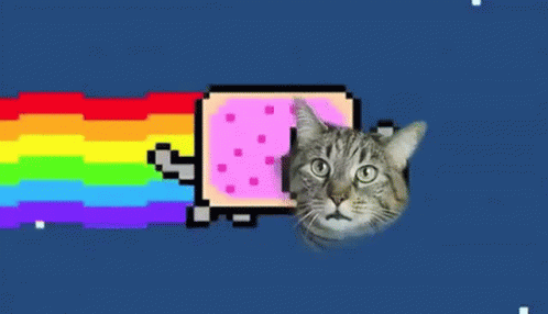 Nyan Cat GIF - Nyan Cat Poptart GIFs