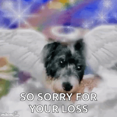 Dog Angel GIF - Dog Angel So Sorry For You Loss GIFs