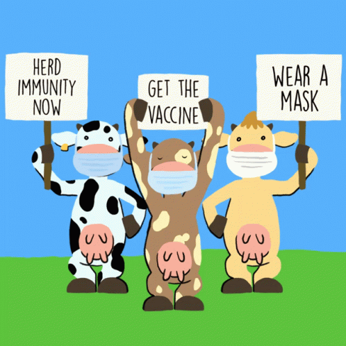 Herd Immunity Now Cow GIF - Herd Immunity Now Cow Get The Vaccine GIFs