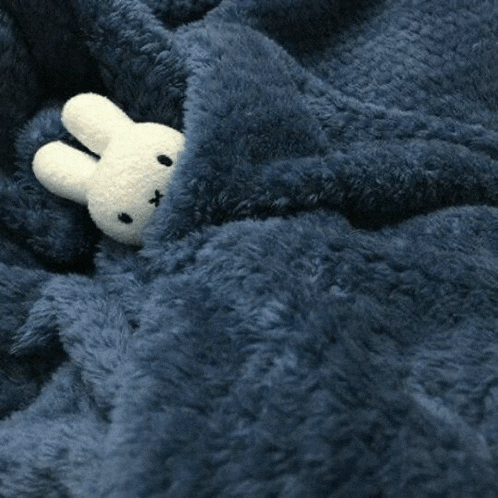 a blue blanket with a stuffed bunny rabbit sticking out of it