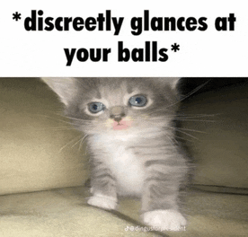 a picture of a kitten with the words discreetly glances at your balls above it
