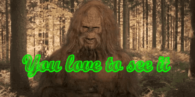 a picture of a bigfoot in the woods with the words you love to see it