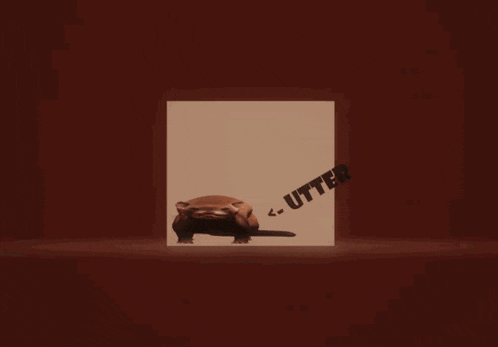 a ferret is coming out of an open door