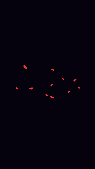 a flock of red birds flying in the dark