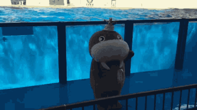 a walrus mascot stands in front of a swimming pool with a crown on its head