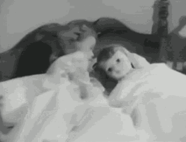 Bed Doll GIF - Bed Doll GIFs
