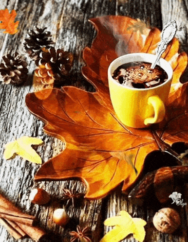 Autumn Coffee GIF