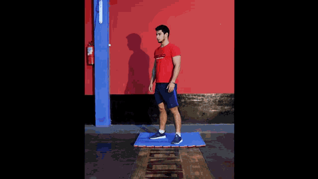 Glosario Squat GIF - Glosario Squat Exercise GIFs