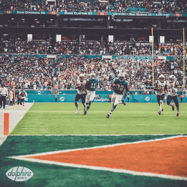 a dolphins football game is being played in front of a large crowd
