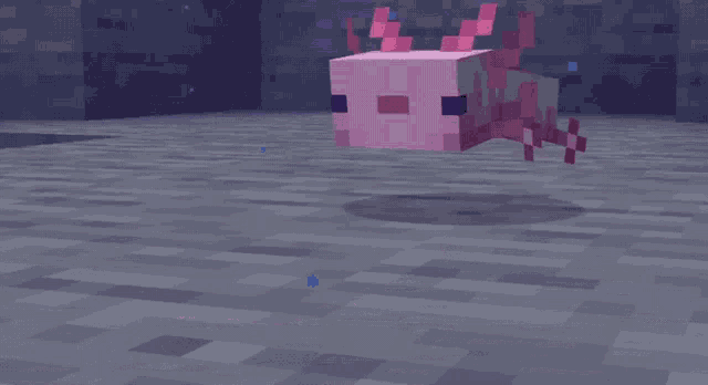 a pink axolotl is floating in the water in a minecraft game