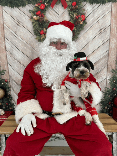 a man dressed as santa claus holds a dog in his arms