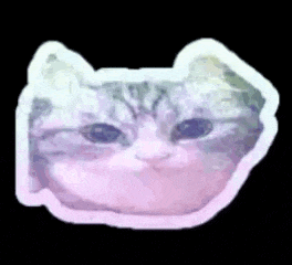 a sticker of a cat 's face with a pink border on a black background .