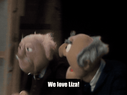 Muppets Muppet Show GIF - Muppets Muppet Show Liza Minnelli GIFs