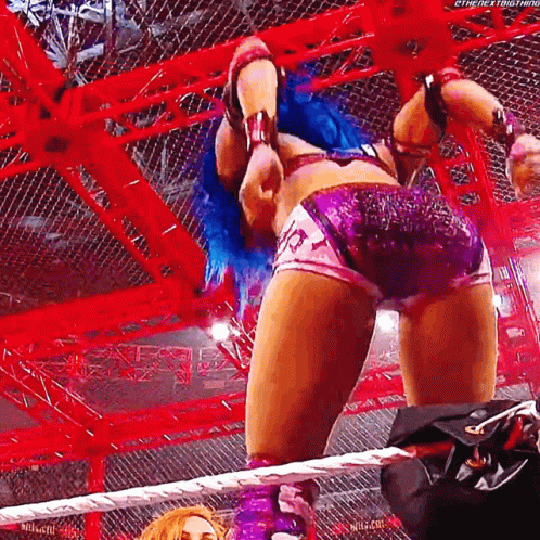 Sasha Banks Becky Lynch GIF - Sasha Banks Becky Lynch Meteora GIFs