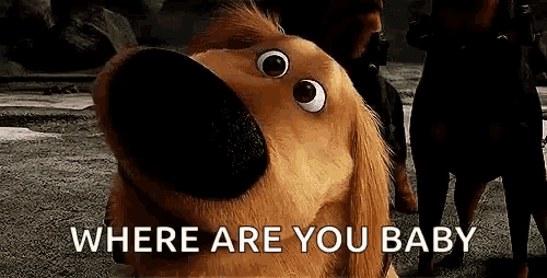 a dog from the movie up is looking up at the camera with the words `` where are you baby '' .