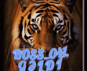 a picture of a tiger with the words boss_041 gold written below it