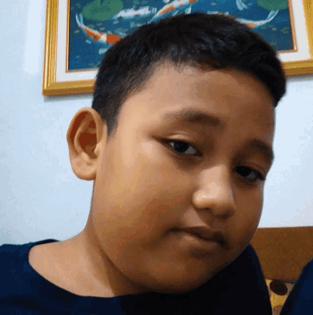 a young boy looks at the camera in front of a framed picture of fish