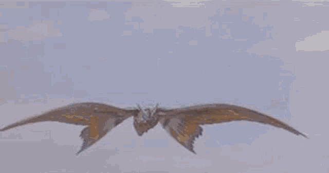 a moth with blue eyes is flying in the air .